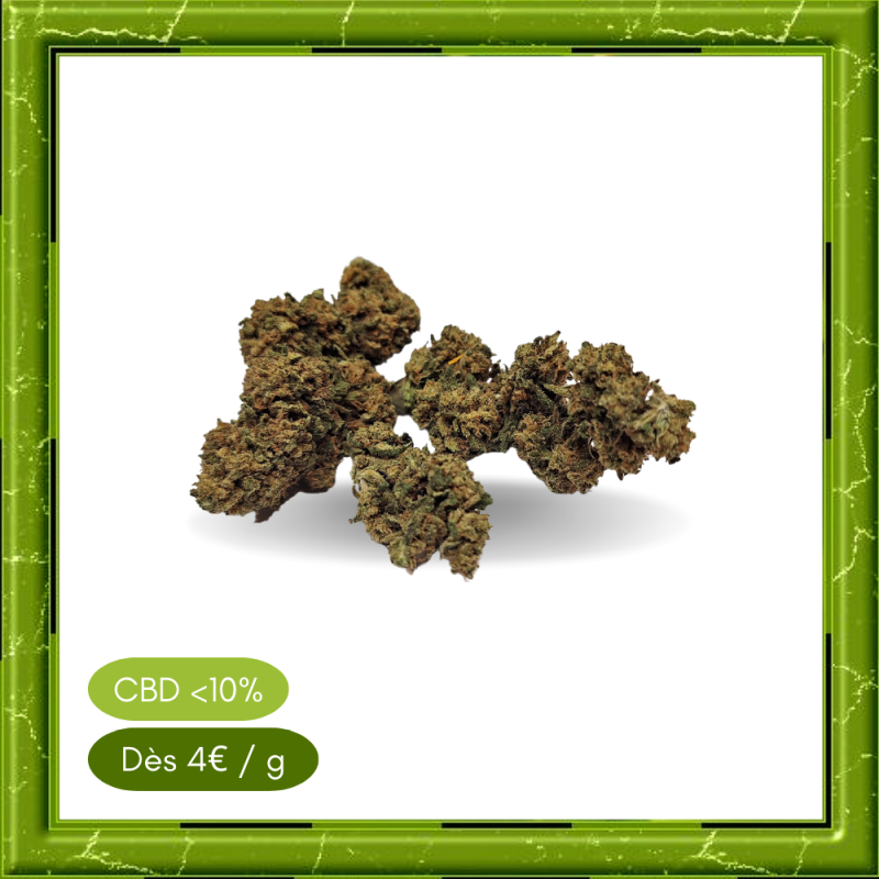 STRAWBERRY OUTDOOR - STRAWBERRY OUTDOOR -