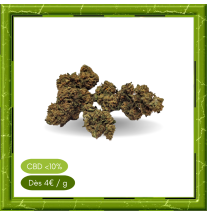 STRAWBERRY OUTDOOR -