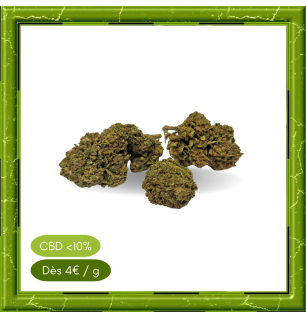 CANNATONIC LEMON OUTDOOR -