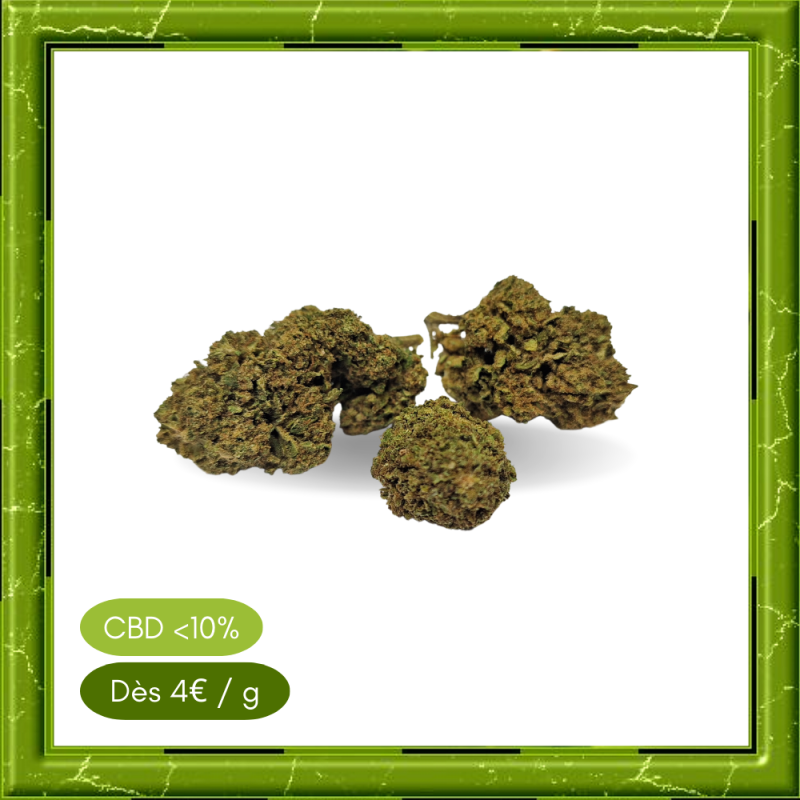 CANNATONIC LEMON OUTDOOR - CANNATONIC LEMON OUTDOOR -