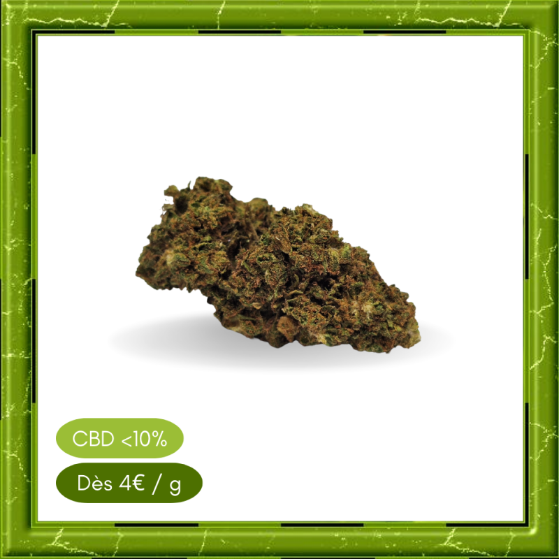 REMEDY OUTDOOR - REMEDY OUTDOOR -