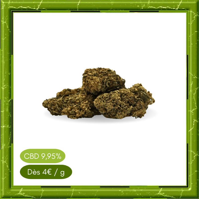 THERAPY OUTDOOR - THERAPY OUTDOOR -