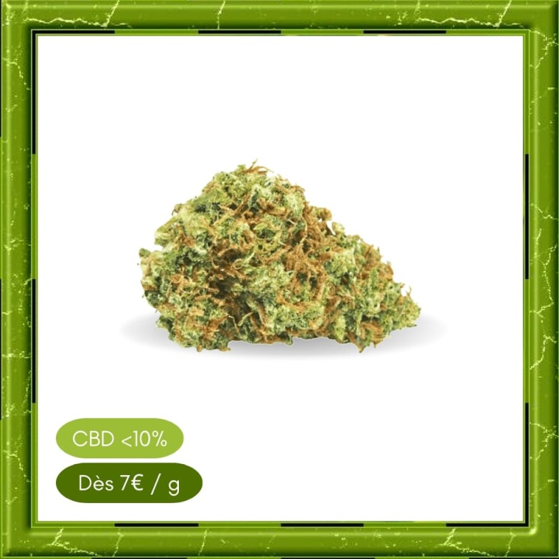 ALPINE - MOLECULE - ALPINE - MOLECULE -