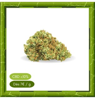 HAWAIIAN - MOLECULE -