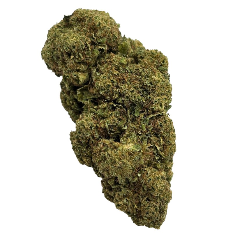 AMNESIA INDOOR - AMNESIA INDOOR -