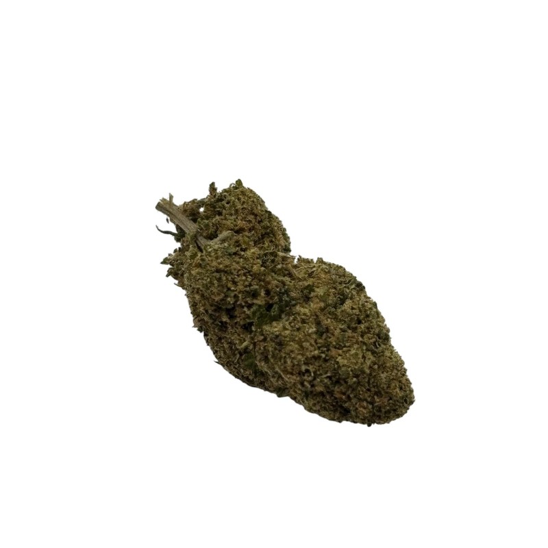 WHITE WIDOW INDOOR - WHITE WIDOW INDOOR -