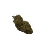 WHITE WIDOW INDOOR - WHITE WIDOW INDOOR -