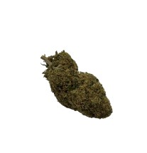 WHITE WIDOW INDOOR -