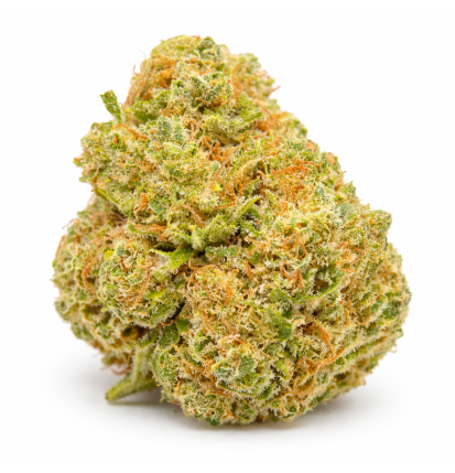 AMNESIA THUNDER - INDOOR