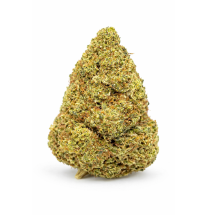 LEMON OCTANE - INDOOR