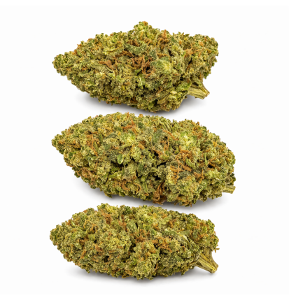 LEMON OCTANE - INDOOR