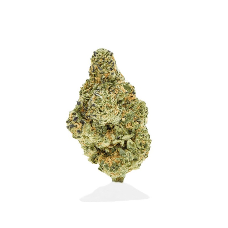 SHERBLATO - INDOOR SHERBLATO - INDOOR