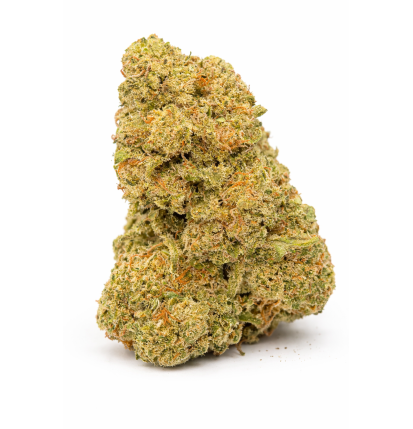 TROPICAL RUNTZ - INDOOR