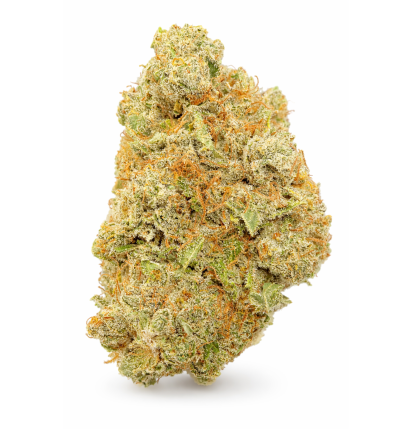 APPLE FRITTER - HYDROPONIC