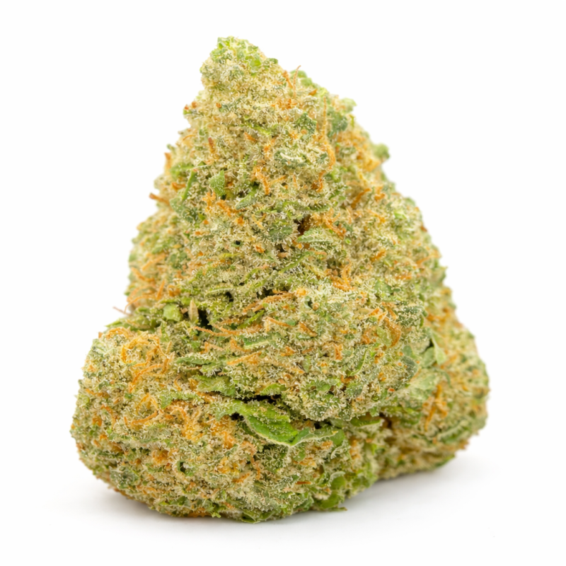 FROSTED SUNSET - HYDRROPONIC