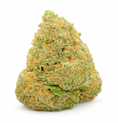 FROSTED SUNSET - HYDRROPONIC