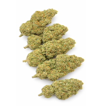 FROSTED SUNSET - HYDRROPONIC