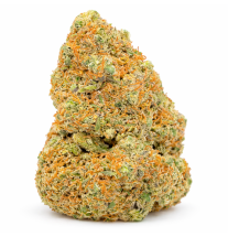 GIRL SCOUT COOKIE - HYDROPONIC