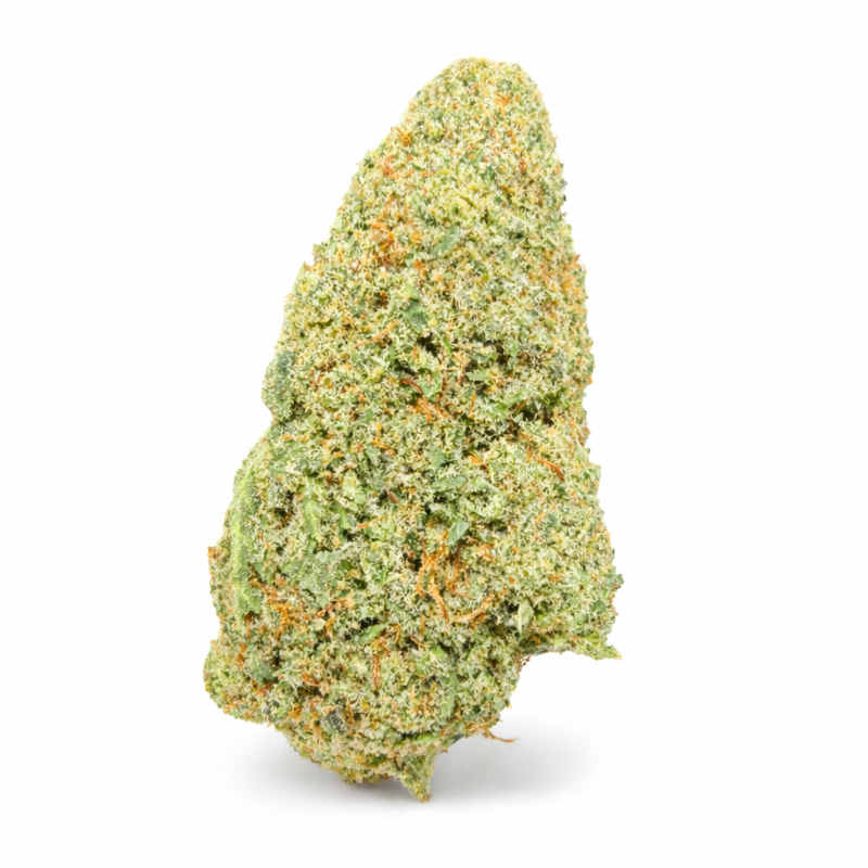 GRAPE N CHEESE - HYDRROPONIC