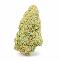 GRAPE N CHEESE - HYDRROPONIC