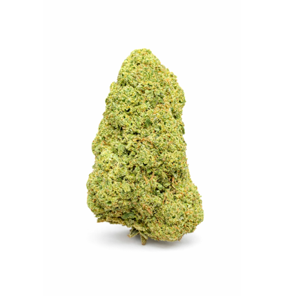 GREEN CRACK - HYDRROPONIC