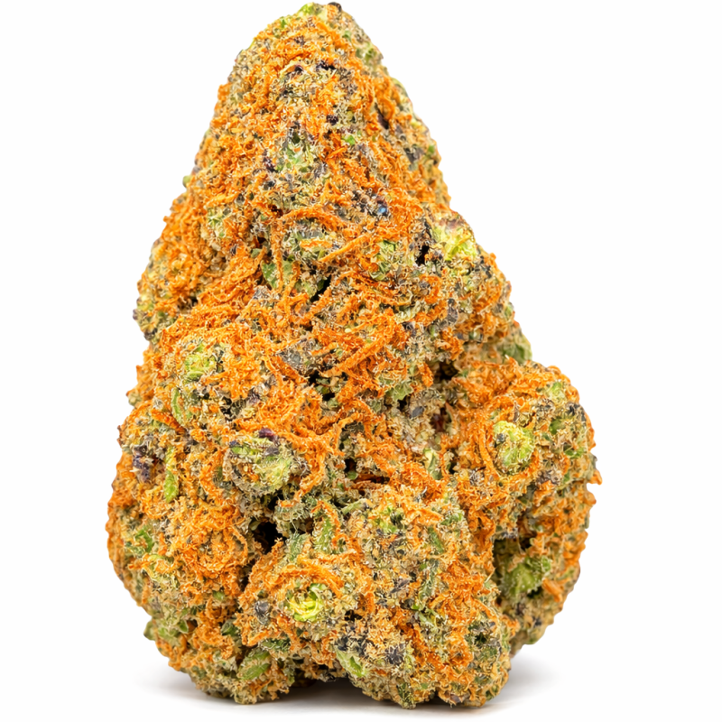 PURPLE PUNCH - HYDRROPONIC PURPLE PUNCH - HYDRROPONIC