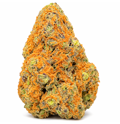 PURPLE PUNCH - HYDRROPONIC