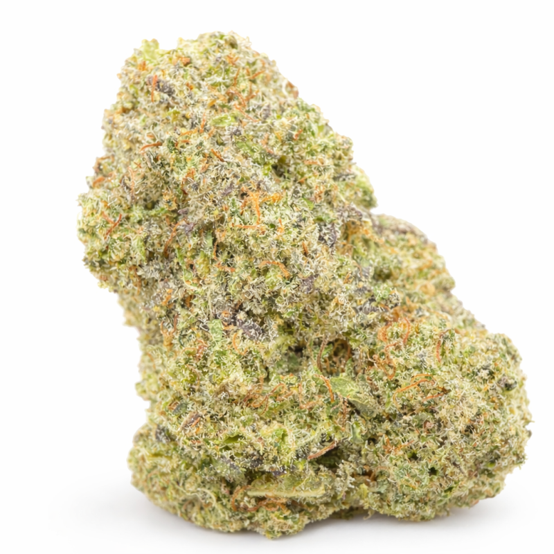 WEDDING CRASHER - HYDRROPONIC