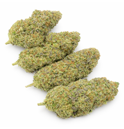 WEDDING CRASHER - HYDRROPONIC