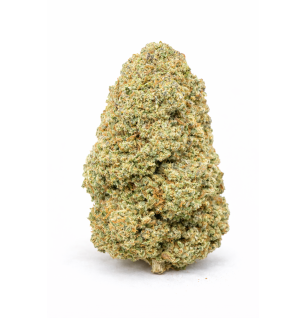 AMNESIA OG - GLASSHOUSE