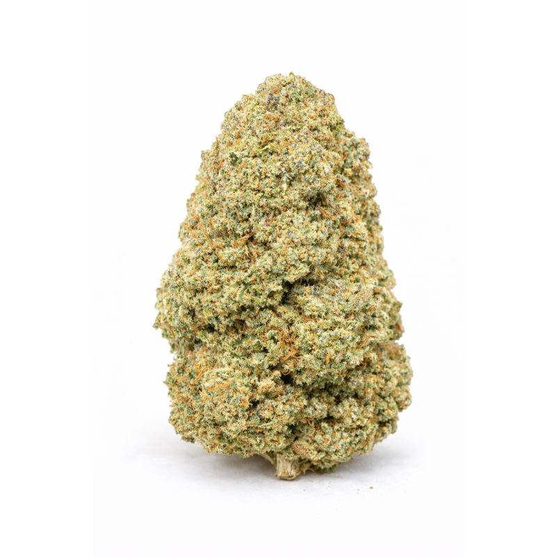 AMNESIA OG - GLASSHOUSE AMNESIA OG - GLASSHOUSE