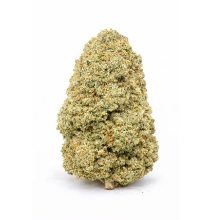 AMNESIA OG - GLASSHOUSE