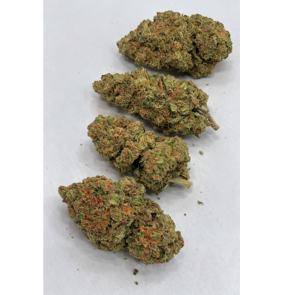 AMNESIA OG - GLASSHOUSE