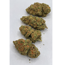 AMNESIA OG - GLASSHOUSE