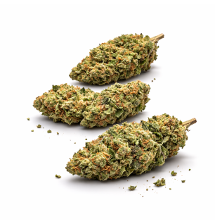 BANANA SMASH - GLASSHOUSE