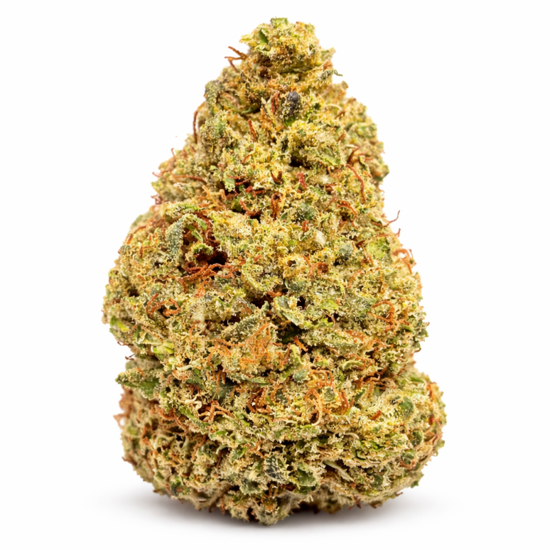 BISCOTTI - GLASSHOUSE BISCOTTI - GLASSHOUSE