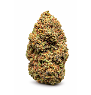 DOSIDOS - GLASSHOUSE