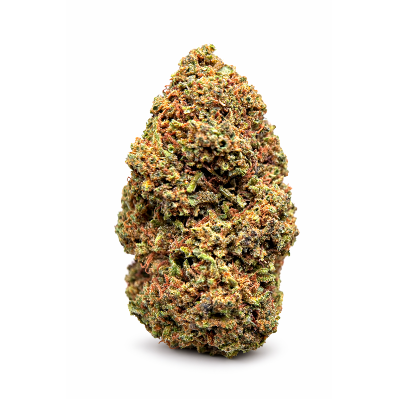 DOSIDOS - GLASSHOUSE DOSIDOS - GLASSHOUSE