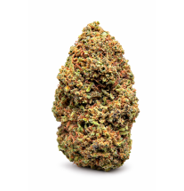 DOSIDOS - GLASSHOUSE