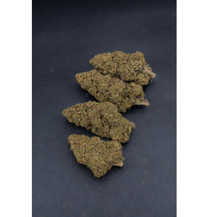 DOSIDOS - GLASSHOUSE