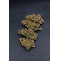 DOSIDOS - GLASSHOUSE