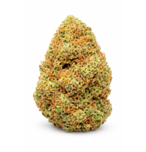 FRUIT CAKE - GLASSHOUSE