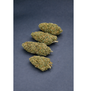 FRUIT CAKE - GLASSHOUSE