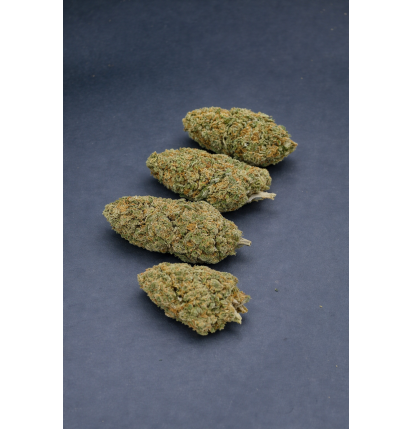 FRUIT CAKE - GLASSHOUSE