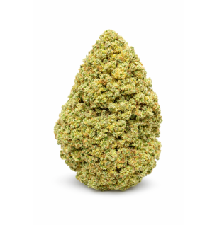 FRUIT CANDY - GLASSHOUSE