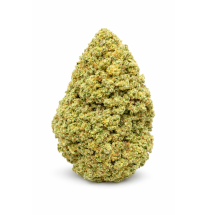 FRUIT CANDY - GLASSHOUSE