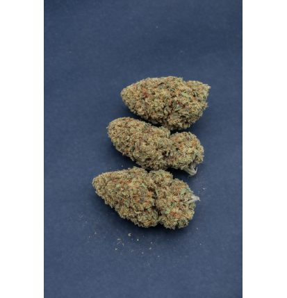 FRUIT CANDY - GLASSHOUSE