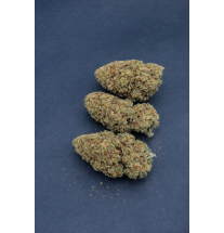 FRUIT CANDY - GLASSHOUSE