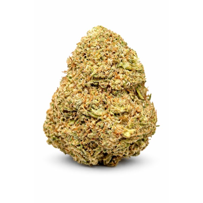 GORILLA GLUE - GLASSHOUSE