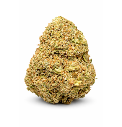 GORILLA GLUE - GLASSHOUSE